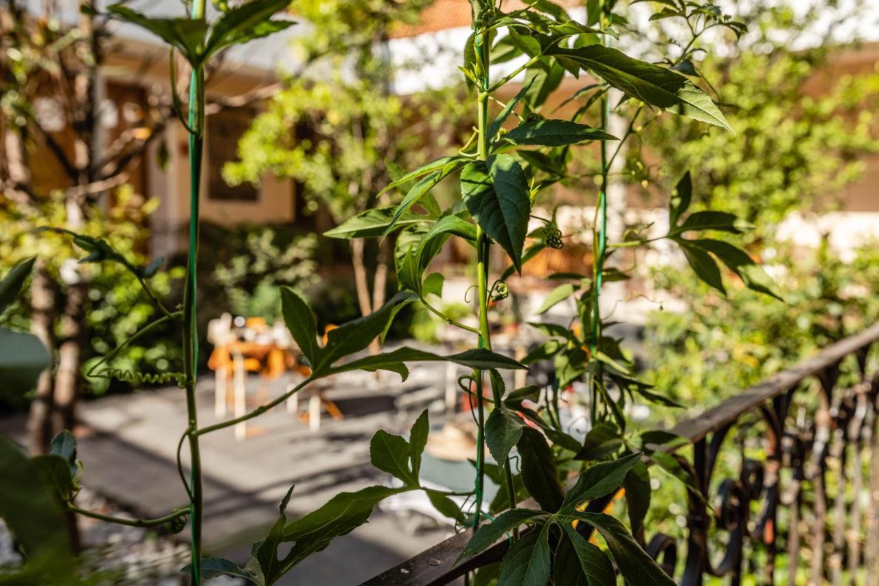 Casa Tuna Meksika Dış mekan fotoğraf